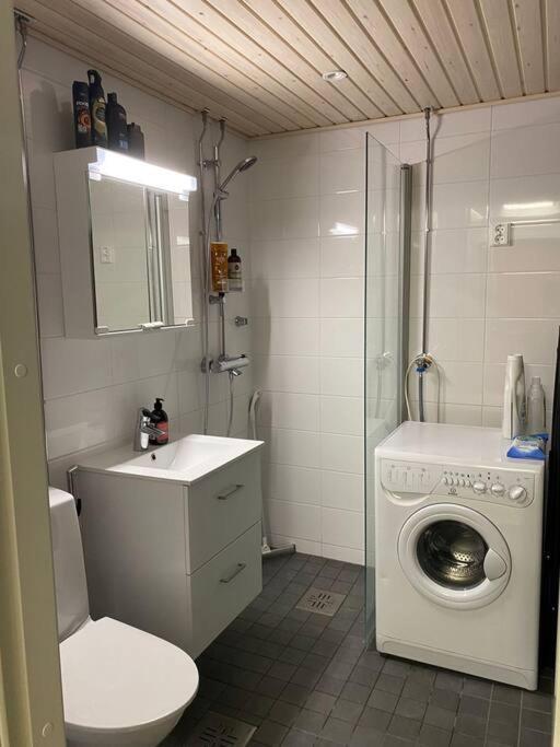 Cozy Studio In The City Center Рованиеми Екстериор снимка